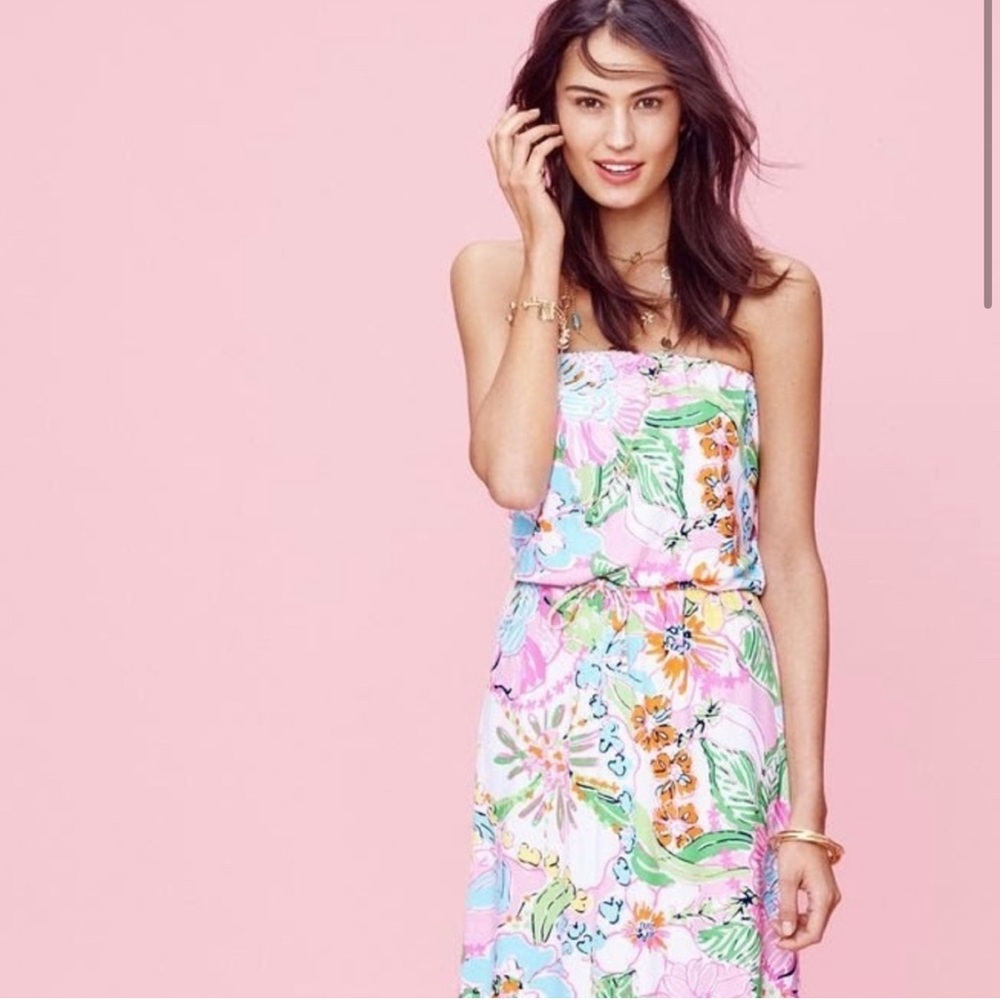 NWT Lilly Pulitzer for Target Floral Maxi Dress in Nosey Posey, size XS